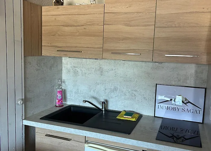 Appartement Moderne 4 Pers Avec Wifi, Terrasse Et Parking Proche Des Pistes - Fr-1-814-33 *